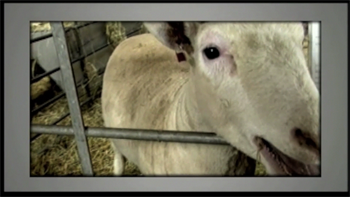 Video Example 2 thumbnail