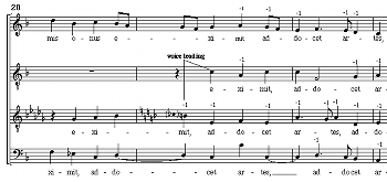Example 8 thumbnail