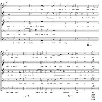 Example 12 thumbnail